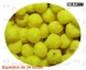 main_25249