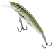 Wobler Salmo Minnow - OLB