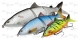 Wobler DAM Effzet Natural Whitefish - detail