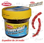 Bloodworm Berkley