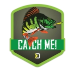 Sticker Delphin Catch Me! - Perch