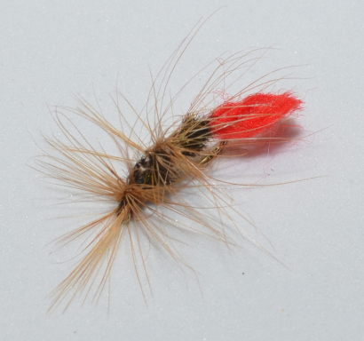 Fly Ice Fish 5